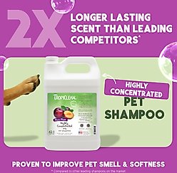 TropiClean Pure Plum Highly Concentrated Dog & Cat Shampoo, 1-gal bottle slide 2 of 8