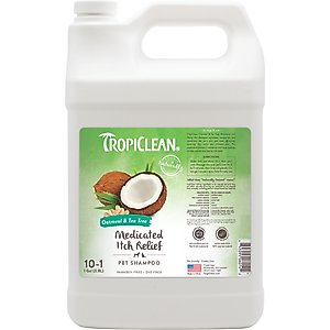 TropiClean Medicated Itchy Skin Relief Oatmeal & Tea Tree Dog Shampoo, 1-gal bottle