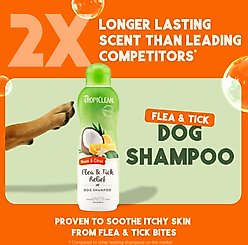 TropiClean Fast Itch Relief from Flea Bites Neem & Citrus Dog Shampoo, 20-fl oz bottle slide 2 of 9