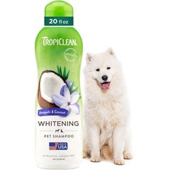 TropiClean Whitening Awapuhi & Coconut Shampoo, 20-fl oz bottle