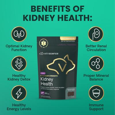Show full view: VetriScience Veterinary Strength Kidney Health Chicken Flavored Chews Renal Essentials Pro Kidney Supplement for Dogs & Cats, 60 count slide 7 of 9