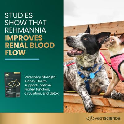 Show full view: VetriScience Veterinary Strength Kidney Health Chicken Flavored Chews Renal Essentials Pro Kidney Supplement for Dogs & Cats, 60 count slide 4 of 9