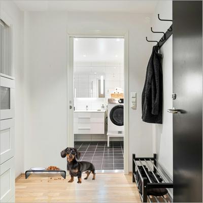 Show full view: Hiddin Small Smoke Grey Double Dog Bowl, White, 1.5-cup slide 5 of 6