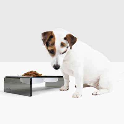 Show full view: Hiddin Small Smoke Grey Double Dog Bowl, White, 1.5-cup slide 3 of 6