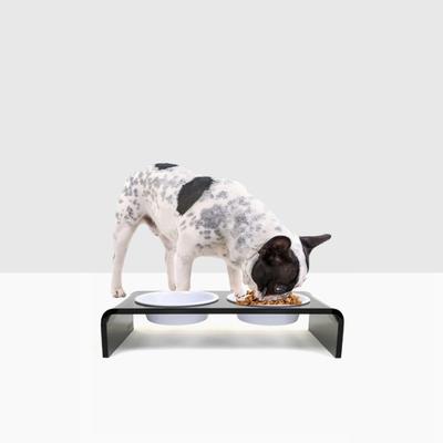 Show full view: Hiddin Small Smoke Grey Double Dog Bowl, White, 1.5-cup slide 4 of 6