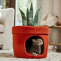 Frisco Snake Plant Covered Cat & Dog Bed with Removable leaf toy