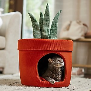 Frisco Snake Plant Covered Cat & Dog Bed with Removable Leaf Toy