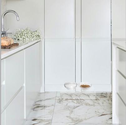 Show full view: Hiddin Clear Glass Slant Double Dog Bowl, 2-cup slide 5 of 8