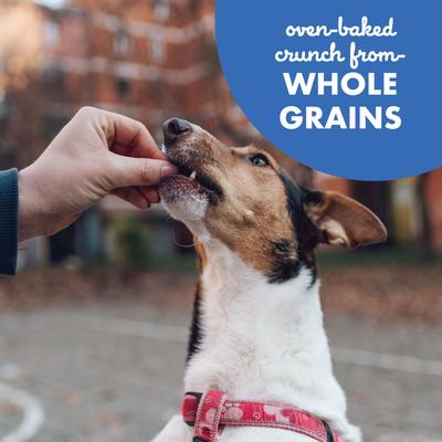 Show full view: Buddy Biscuits Teeny Treats with Bacon & Cheese Dog Treats, 8-oz box slide 7 of 11