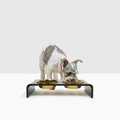 Show full view: Hiddin Small Smoke Grey Double Dog Bowl, Gold, 1.5-cup slide 3 of 6