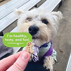 Buddy Biscuits Teeny Treats with Roasted Chicken Oven Baked Dog Treats, 8-oz box slide 2 of 9