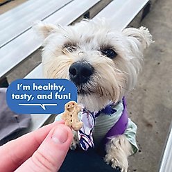 Buddy Biscuits Teeny Treats with Bacon & Cheese Dog Treats, 8-oz box slide 2 of 9