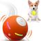 Show in main carousel: YVE LIFE Automatic Durable Motion Interactive Rolling Ball Dog Toy with USB Rechargeable, Orange, Medium slide 1 of 10