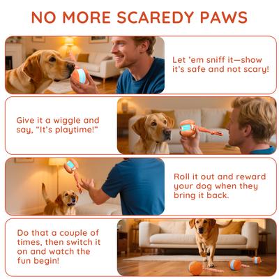 Show full view: YVE LIFE Automatic Stimulation Random Path Electric Moving & Motion Boredom Relief Interactive Rolling Ball Dog Toy, Orange, Medium slide 5 of 10