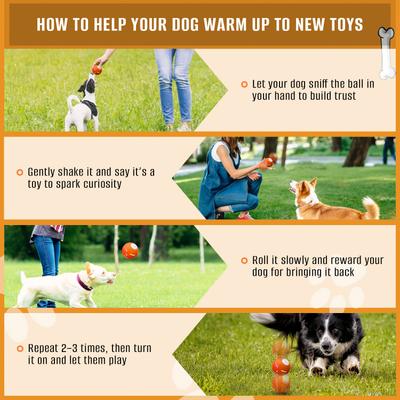 Show full view: YVE LIFE Automatic Durable Motion Interactive Rolling Ball Dog Toy with USB Rechargeable, Orange, Medium slide 6 of 10