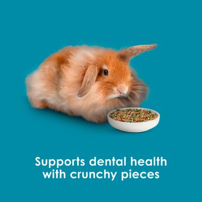 Show full view: Kaytee Forti-Diet Pro Health Nourish+Protect Rabbit Food, 8-lb bag slide 7 of 9