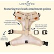 Lucy & Co. Oh My Gourd No-Pull Dog Harness