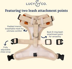 Lucy & Co. Oh My Gourd No-Pull Dog Harness, Small: 14 to 18-in chest slide 2 of 5