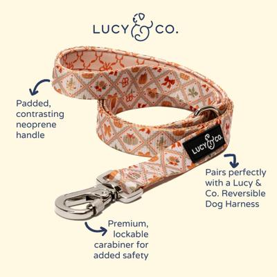 Show full view: Lucy & Co. Cozy Cottage Dog Leash, Small: 5-ft long, 0.6-in wide slide 4 of 5