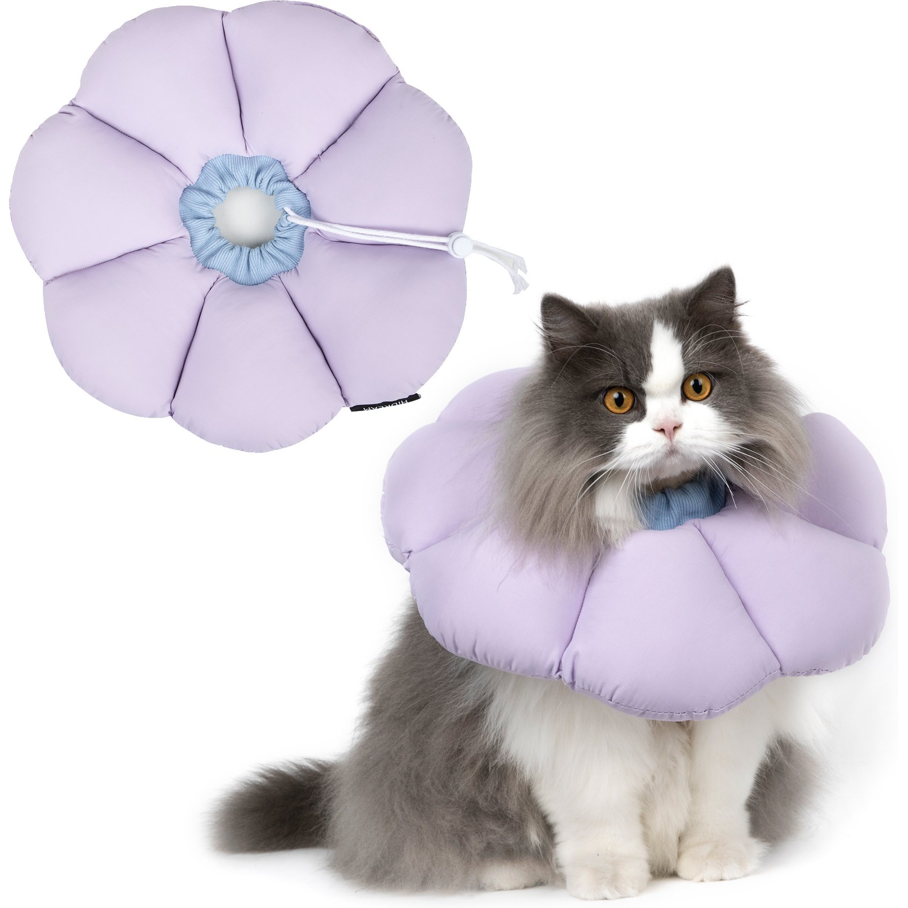 H HIDREAM Cat Cone Recovery Collar, Purple, Medium