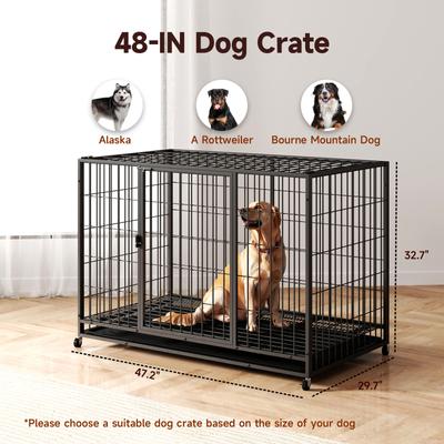Show full view: Xbrigh Double-Door Lockable Wire Pet Dog Crate, Black, Large: 42 inch slide 3 of 5