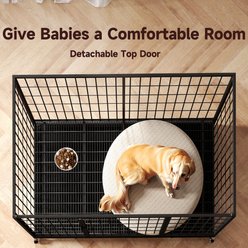 Xbrigh Double-Door Lockable Wire Pet Dog Crate, Black, Large: 42 inch slide 2 of 5