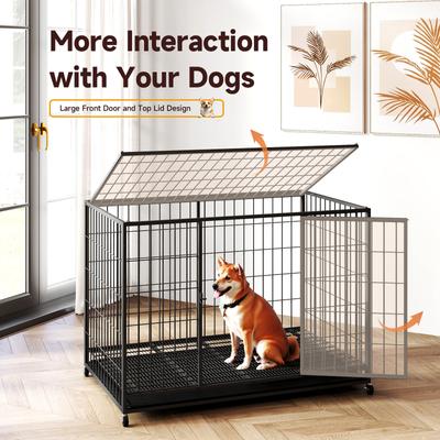 Show full view: Xbrigh HIWOKK Dog Crates, Black, Medium slide 2 of 5