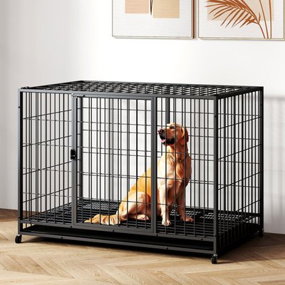 Xbrigh Xbrigh Double-Door Lockable Wire Pet Dog Crate, Black, Large: 42 inch
