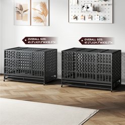 Xbrigh Ultra-Durable Vandal-Resistant Indoor Double Door Dog Crate, Black, 42-inches slide 2 of 5