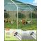 Show in main carousel: Xbrigh Metal Dome Shaped Coop Walk-in Poultry Cage with Waterproof & Anti-Ultraviolet Cover, Silver, 17.7 x 8.9 x 6.6-in slide 3 of 6