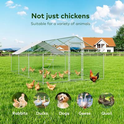 Show full view: Xbrigh Metal Coop Walk-in Roosting Perch Spire Roof Poultry Cage with Waterproof UV Cover, Silver, 19.7 x 10 x 6.4-in slide 5 of 6