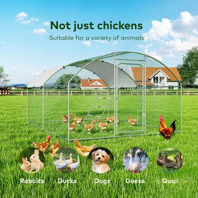 Show full view: Xbrigh Metal Coop Walk-in Roosting Perch Dome Roof Poultry Cage with Waterproof UV Cover, Silver, 13.2 x 10 x 6.4-in slide 2 of 6
