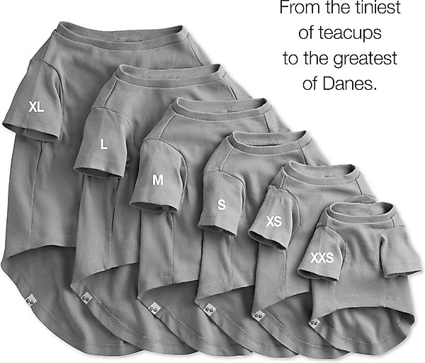 Show full view: Pet Passion Toby Perfect Tee Dog Shirt, Gray Ombre, X-Small, 3 count slide 5 of 5