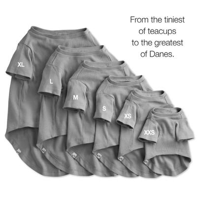 Show full view: Pet Passion Toby Perfect Tee Dog Shirt, Gray Ombre, X-Small, 3 count slide 6 of 7