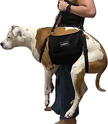 Labra Emergency Carry Sling Backpack Rehabilitation Lift Handicapped Support Dog Harness, X-Large: 31-in chest