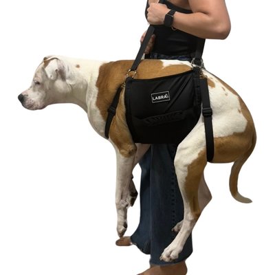 Labra Labra Emergency Carry Sling Backpack Rehabilitation Lift Handicapped Support Dog Harness, X-Large: 31-in chest