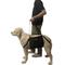 Show in main carousel: Labra Emergency Carry Sling Backpack Rehabilitation Lift Handicapped Support Dog Harness, X-Large: 31-in chest slide 5 of 9