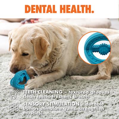 Show full view: Arlee Home & Pet Max Fusion Made with Nike Grind Phoenix Tug Dog Toy, Blue slide 6 of 11