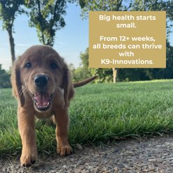 K9 Innovations Probiotic Daily Chicken Flavored Gut Health Chew Digestive Supplement for Dogs, 120 count slide 2 of 7