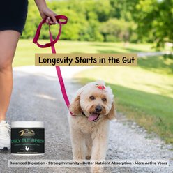 K9 Innovations Daily Chicken Flavored Gut Health Chew Supplement for Dogs, 120 count slide 2 of 6