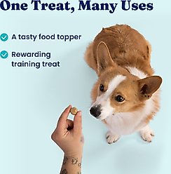 Solid Gold Real Beef & Pumpkin Freeze-Dried Raw Meal Dog Food Topper, 1.5-oz bag slide 2 of 7