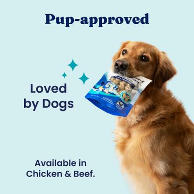 Show full view: Solid Gold Chicken Flavor Gut Health High-Protein Dry & Wet Dog Food Topper, 10.5-oz pouch slide 6 of 11