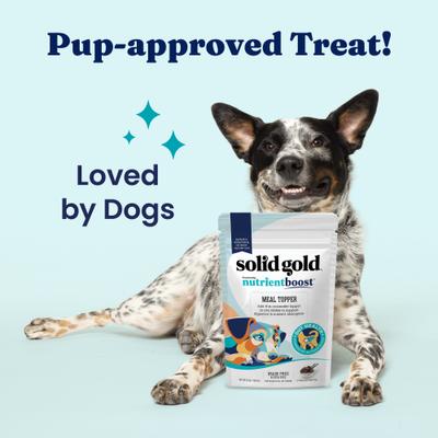 Show full view: Solid Gold Gut Health Grain-Free Nutrient Absorption & Digestion Dog Food Topper, 16-oz bag slide 5 of 10