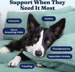 Solid Gold Keep Calm & Wag On Calming Aid Chew Supplement for Dogs, 120 count slide 2 of 8