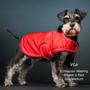 Pet Passion Breeze Windbreaker Dog Coat, Red, Small