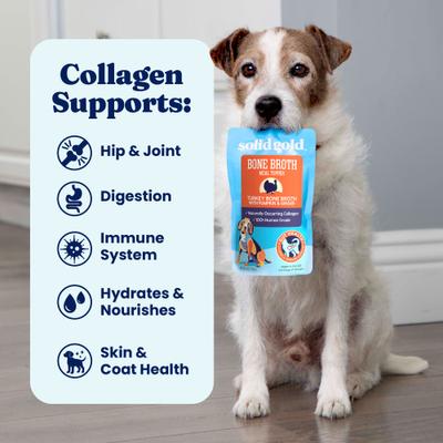 Show full view: Solid Gold Turkey Grain-Free Bone Broth with Pumpkin & Ginger Dog Food, 8-oz pouch slide 6 of 11
