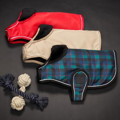 Show full view: Pet Passion Breeze Windbreaker Dog Coat, Khaki, XX-Large slide 4 of 6