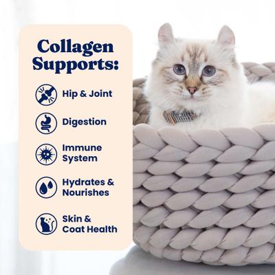 Show full view: Solid Gold Bone Broth Salmon Shreds Grain-Free Wet Cat Food Topper, 3-oz pouch, case of 12 slide 6 of 10