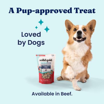 Show full view: Solid Gold Real Beef & Pumpkin Freeze-Dried Raw Meal Dog Food Topper, 1.5-oz bag slide 6 of 9
