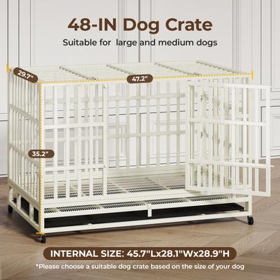 Xbrigh Heavy Duty Indestructible Escape Proof Steel Dog Crate